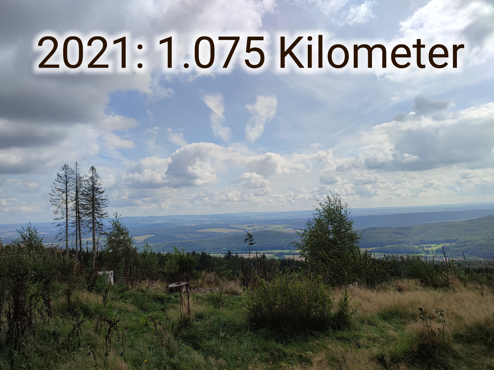 Blick über eine Waldlichtung, oben steht der Schriftzug "2021: 1075 Kilometer"