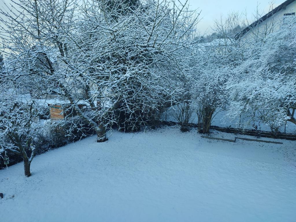 Ein Blick vom Balkon auf einen verschneiten Garten. Auf dem Rasen liegt eine geschlossene Schneedecke. Ein paar große Obstbäume mit verschneiten Ästen stehen am Rand der Wiese.